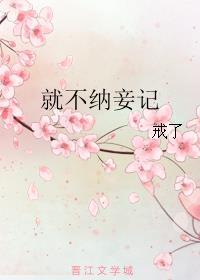 就不纳妾记资源