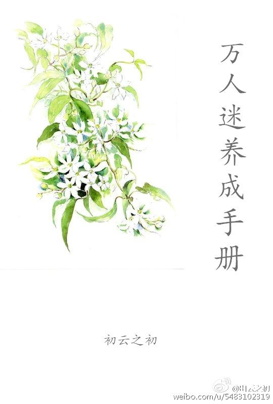 万人迷养成手册(系统) cn控吧