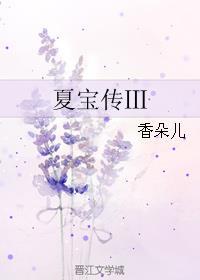 夏宝传3费阅读