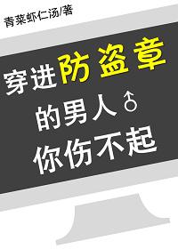 穿进防盗章的男人你伤不起笔趣阁