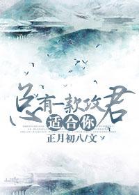 总有一款攻君适合你无删