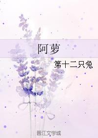 阿萝最后一个番外