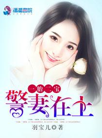 一胎二宝宠妻入骨全文免费