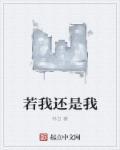 我若是什么意思