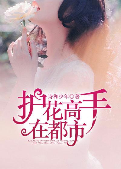 护花高手在都市几个老婆