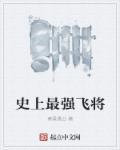 史上最强飞将军TXT