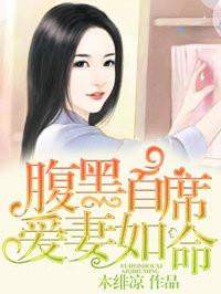 刻骨惊婚首席爱妻如命全文免费阅读