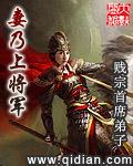 吾妻乃上将军女主