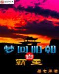 梦回明朝作文800字