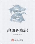 追风逐日下一句是什么