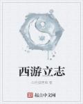 西游book