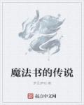 弓箭传说用什么魔法书