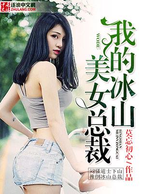 我的冰山美女总裁叶城秦