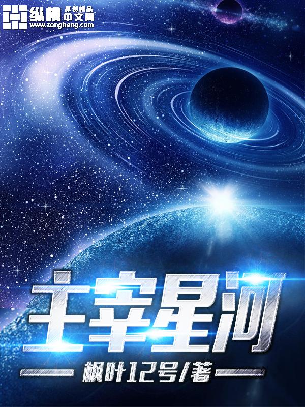 主宰星河精校版txt