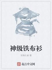 铁布衫是什么意思