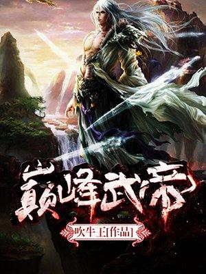 巅峰武帝txt精校版