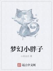 小胖玩梦幻