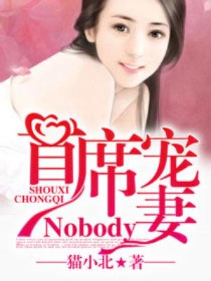 首席宠妻nobody免费txt