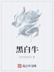 黑白牛角什么生肖