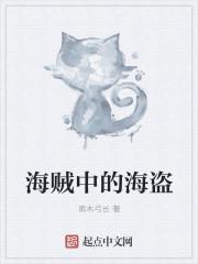 赏金猎人海贼海盗