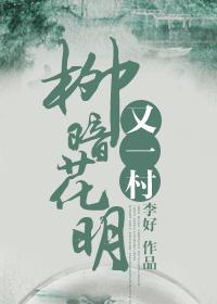 柳暗花明又一村形容什么