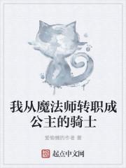 我从魔法师转职成公主的骑士漫画