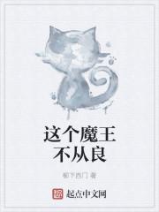 这个魔王不从良校对txt