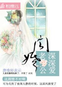 闪婚独宠老公深深爱全文免费阅读