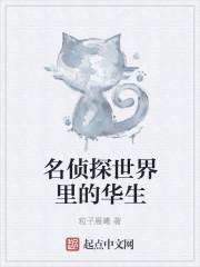 名侦探世界里的巫师正版阅读