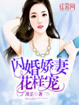 闪婚娇妻花样宠全文TXT