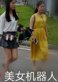 美女机器人市场价