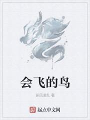 会飞的鸟人是什么电影