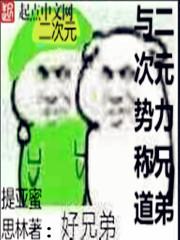 与二次元相遇