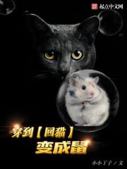 回到过变成猫