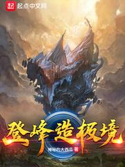 登峰造极境视频完整版