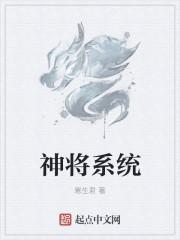 神将系统开启等级