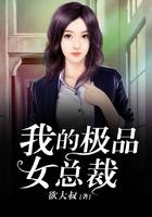 平庸的上帝作品我的极品女总裁