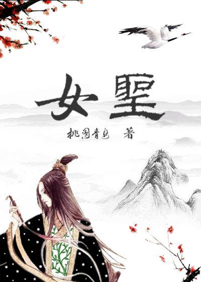 女圣骑士100级加点