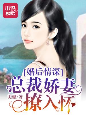 婚后情深总裁娇妻撩入怀