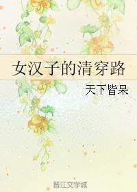 女汉子的清穿路作者天下皆呆