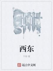 西东是什么意思