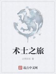 什么是术士之流