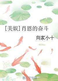 美娱肖恩的奋斗百度