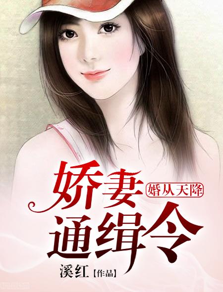 书名婚从天降