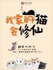 我家的猫咪上仙漫画免费下拉