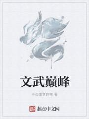 文武比试