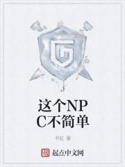 npc简单来说