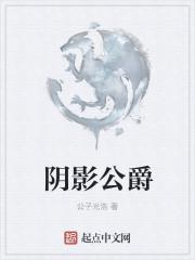 yy公爵隐身什么意思