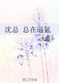 沈总 总在氪