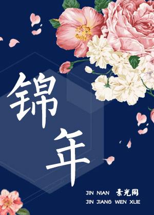 锦年原创解说文案网